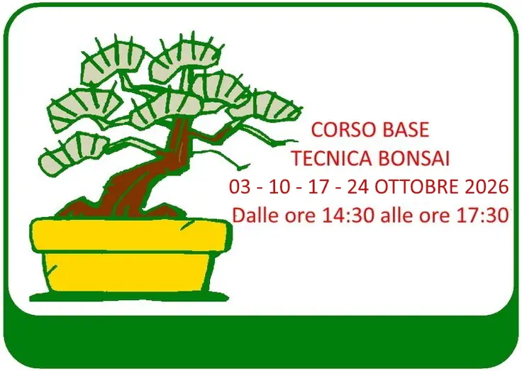 Corso Tecniche Bonsai Multilivello Marzo 2026