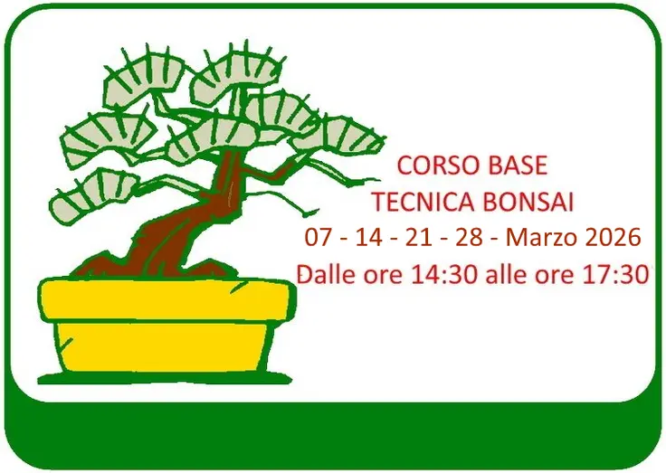 Corso Tecniche Bonsai Multilivello Marzo 2026